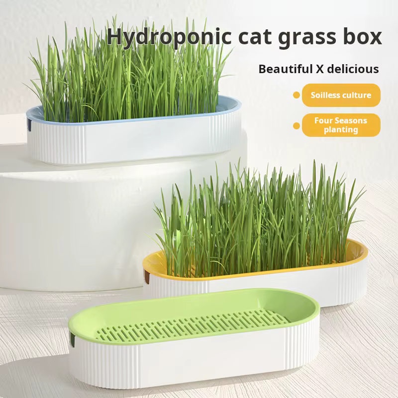 Kit de culture hydroponique d'herbe à chat pour chats