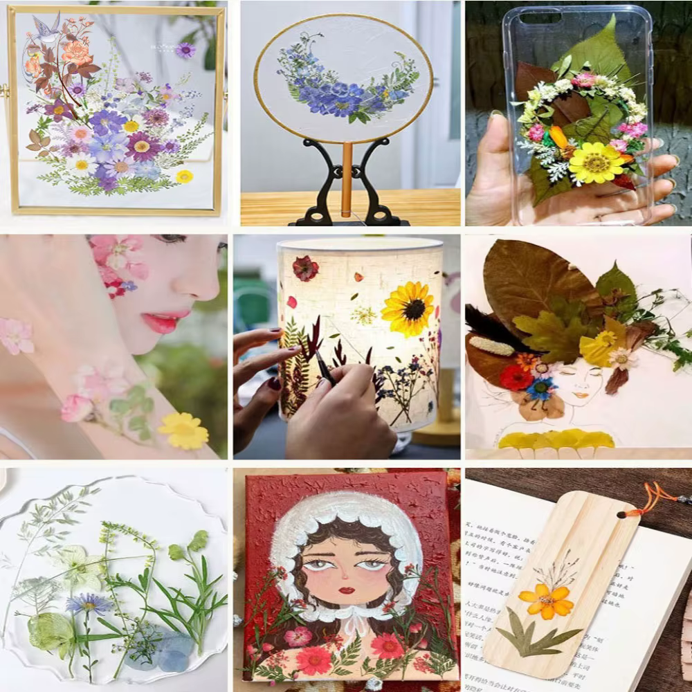 Marque-page de fleurs séchées pressées à la main