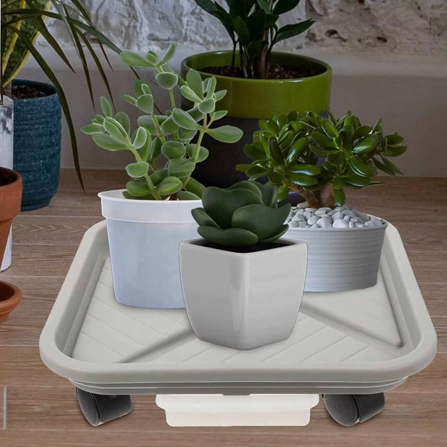 Une cage à boules pour plantes avec quatre roues et un plateau de drainage