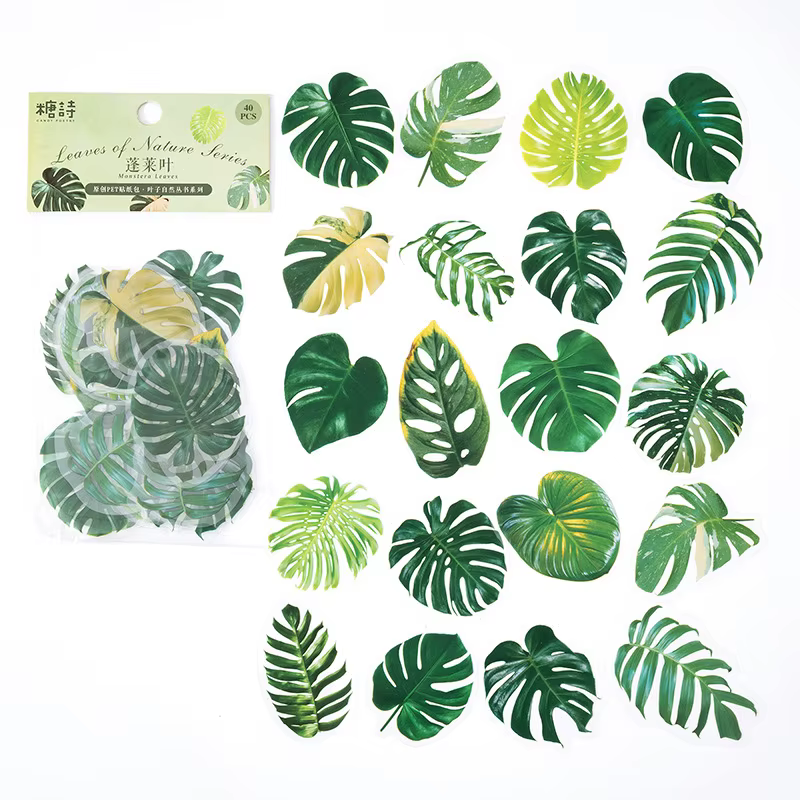 Autocollants transparents en PET pour plantes