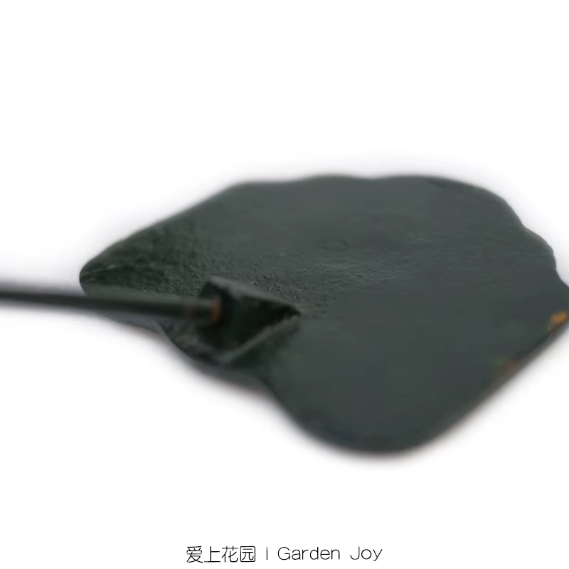 Étiquettes d'usine de fonte pour les labels décoratifs, accessoires de potager