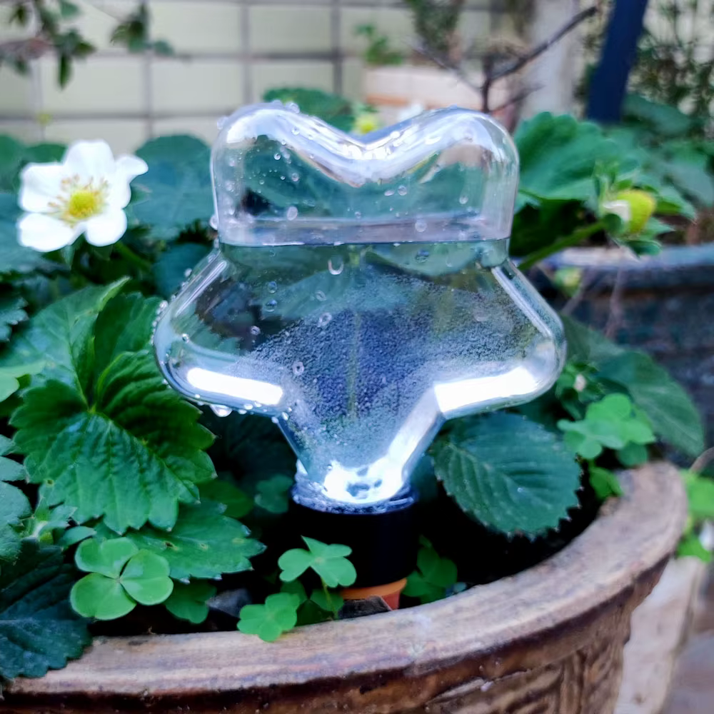 Dispositifs d'arrosage automatique pour plantes