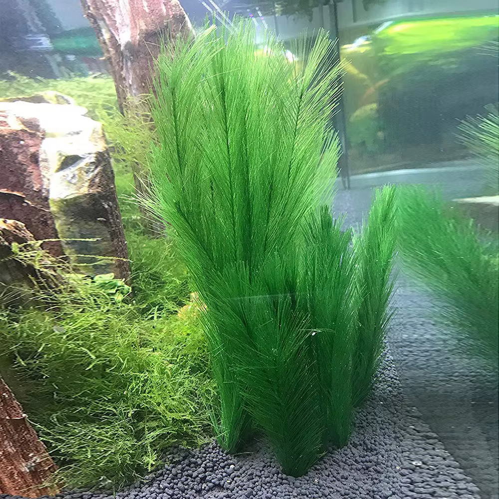 30cm Imitation eau herbe Aquarium aquatique plante artificielle fausse