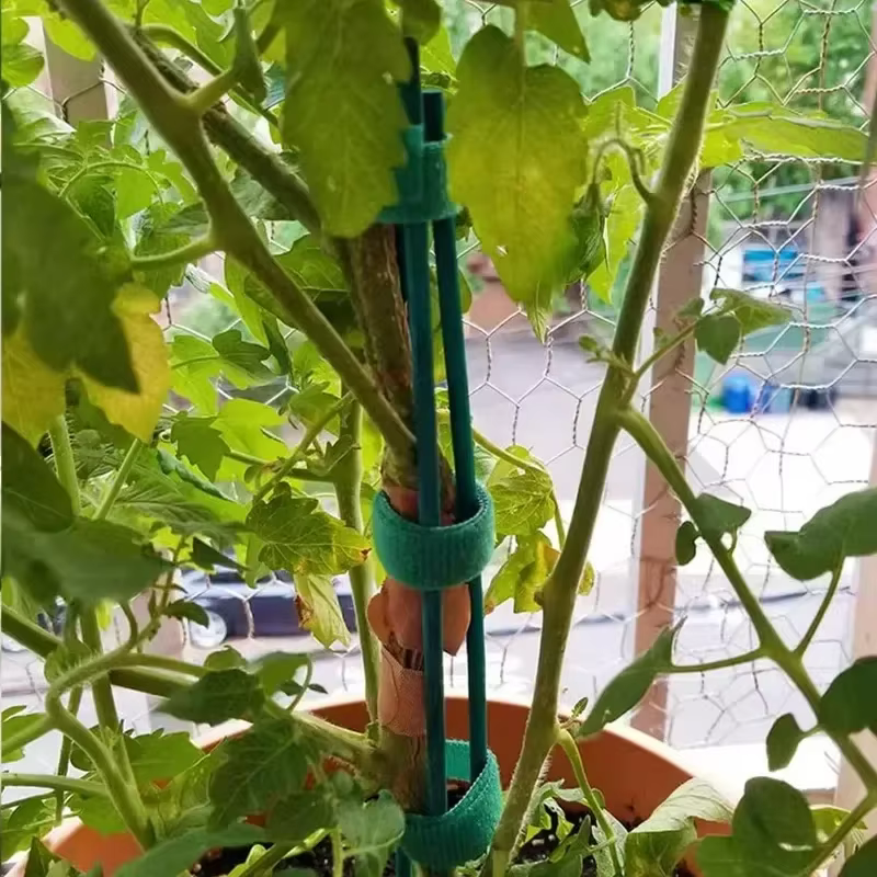 Piquets de Support de plantes en bambou polyvalents