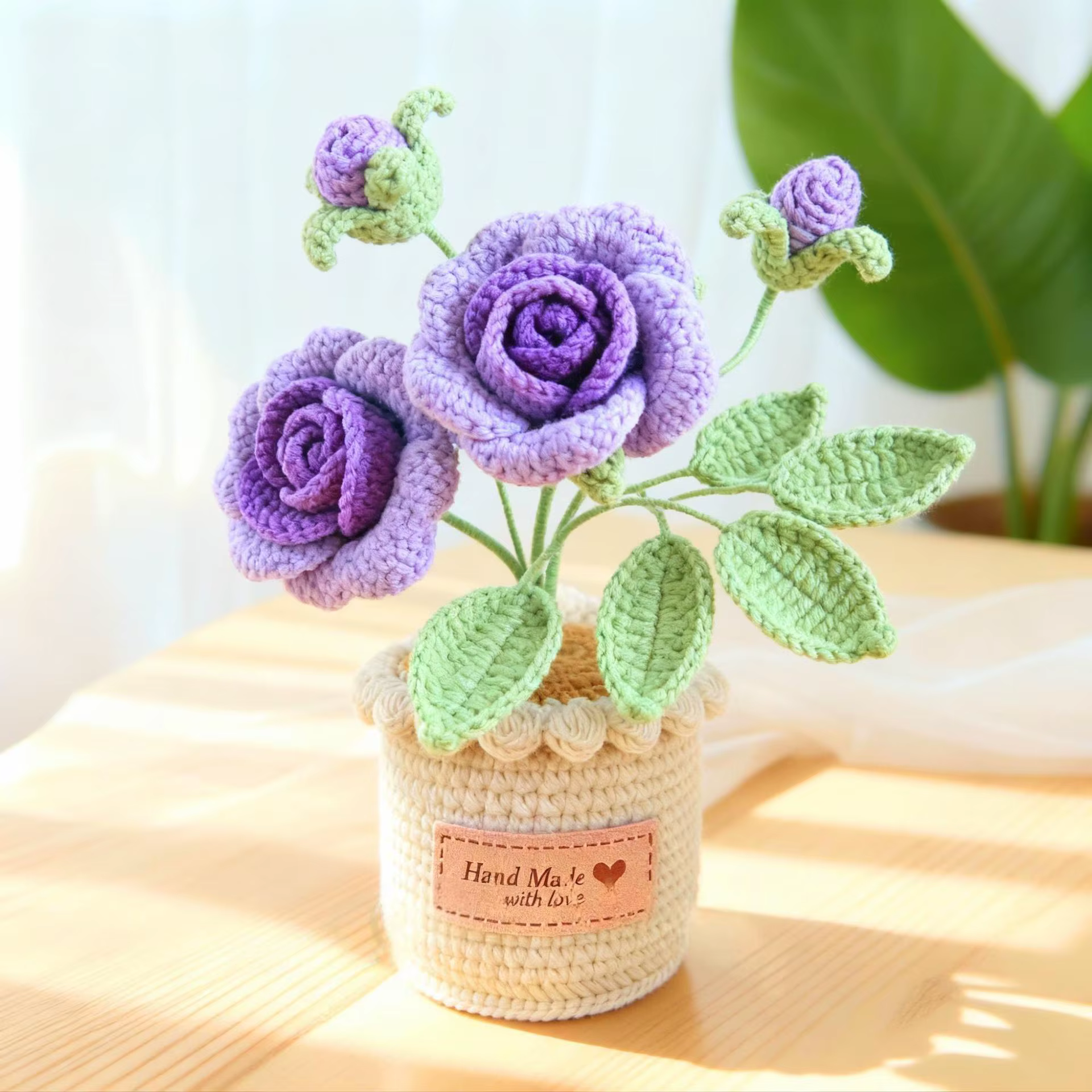 Plante en pot en laine
