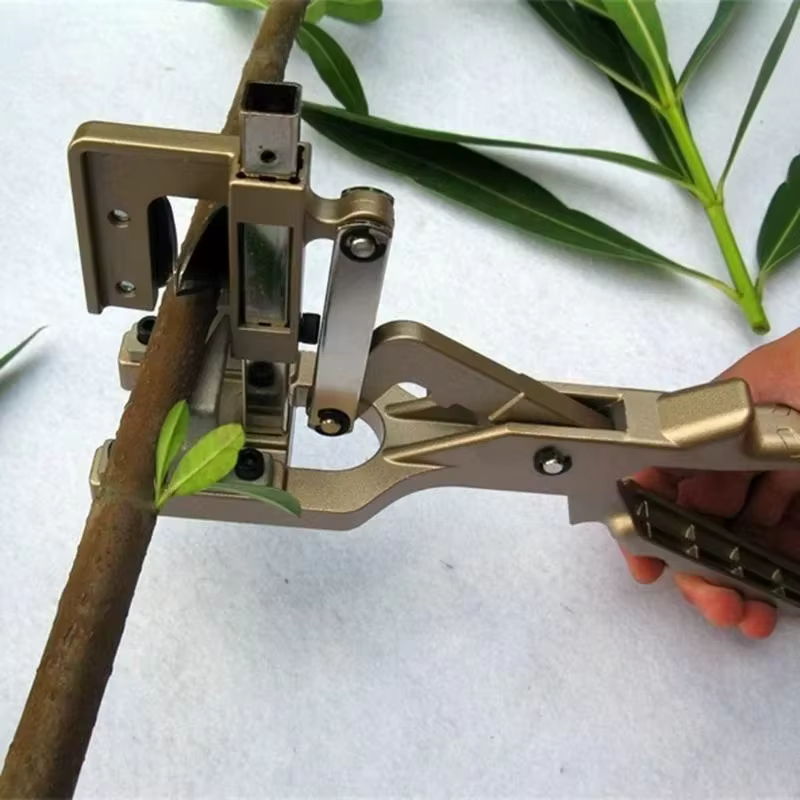 Sécateur professionnel pour arbres de jardin
