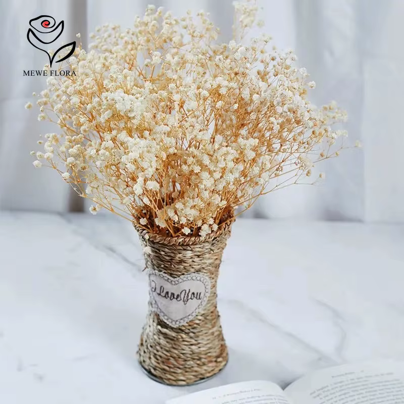 Vraies fleurs séchées gypsophile bébé souffle Bouquet