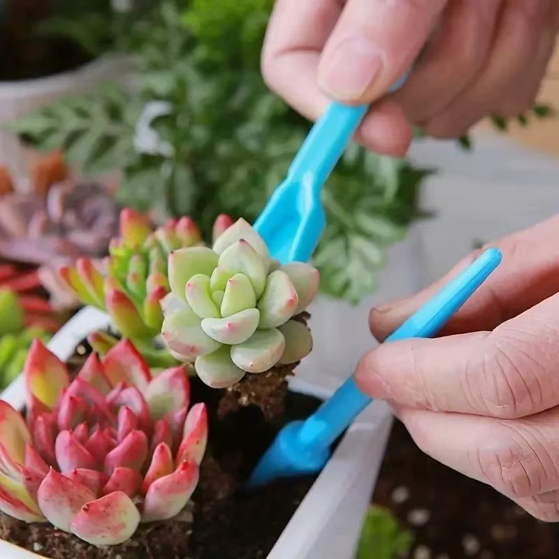 Kit de jardinières de jardin