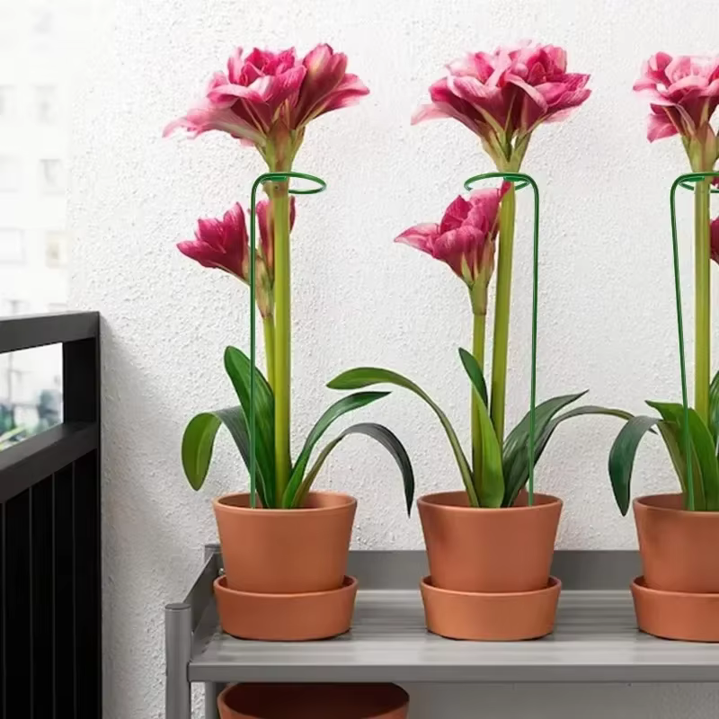 Tiges de Support de plantes métalliques 35/45/55cm