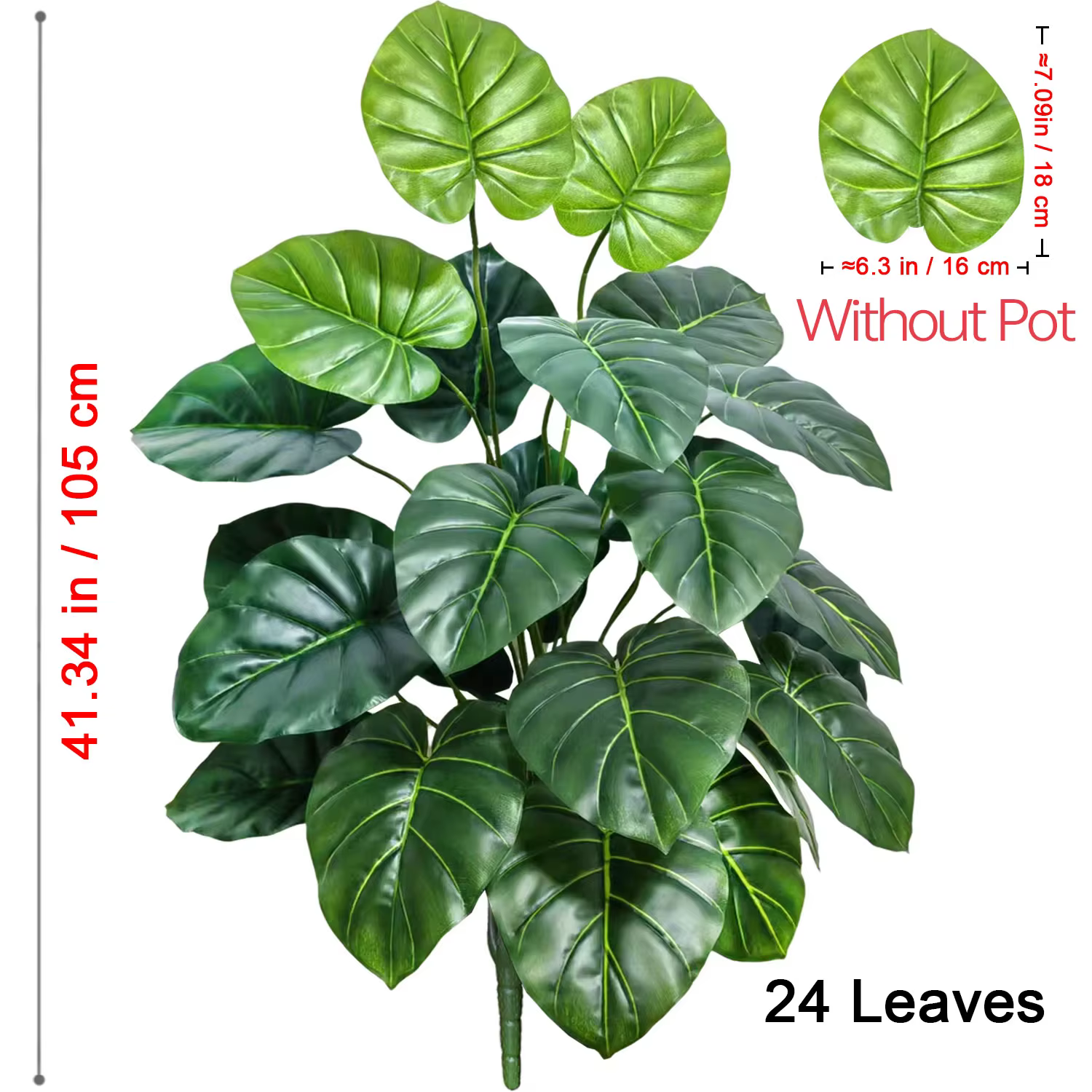Plante Alocasia à grandes feuilles rondes de 60-105 cm