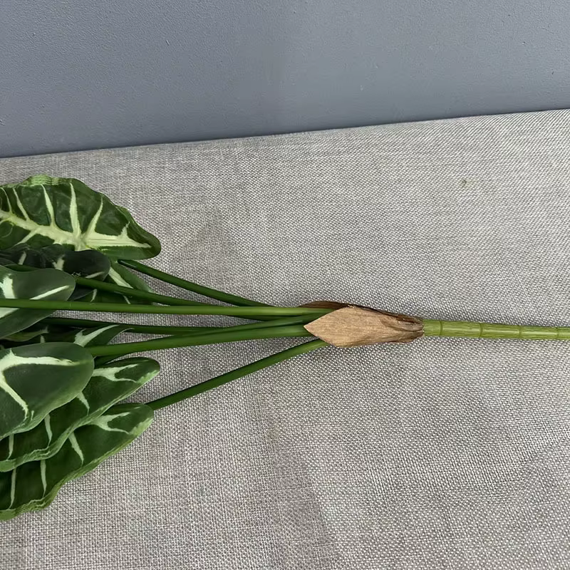 Simulation de plantes vertes Taro Levesf