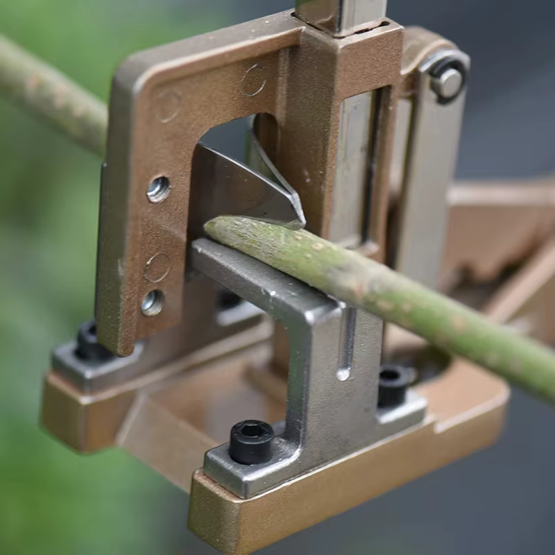 Grand outil de greffage professionnel