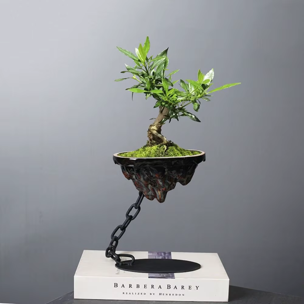 Pot de bonsaï moderne de paysage