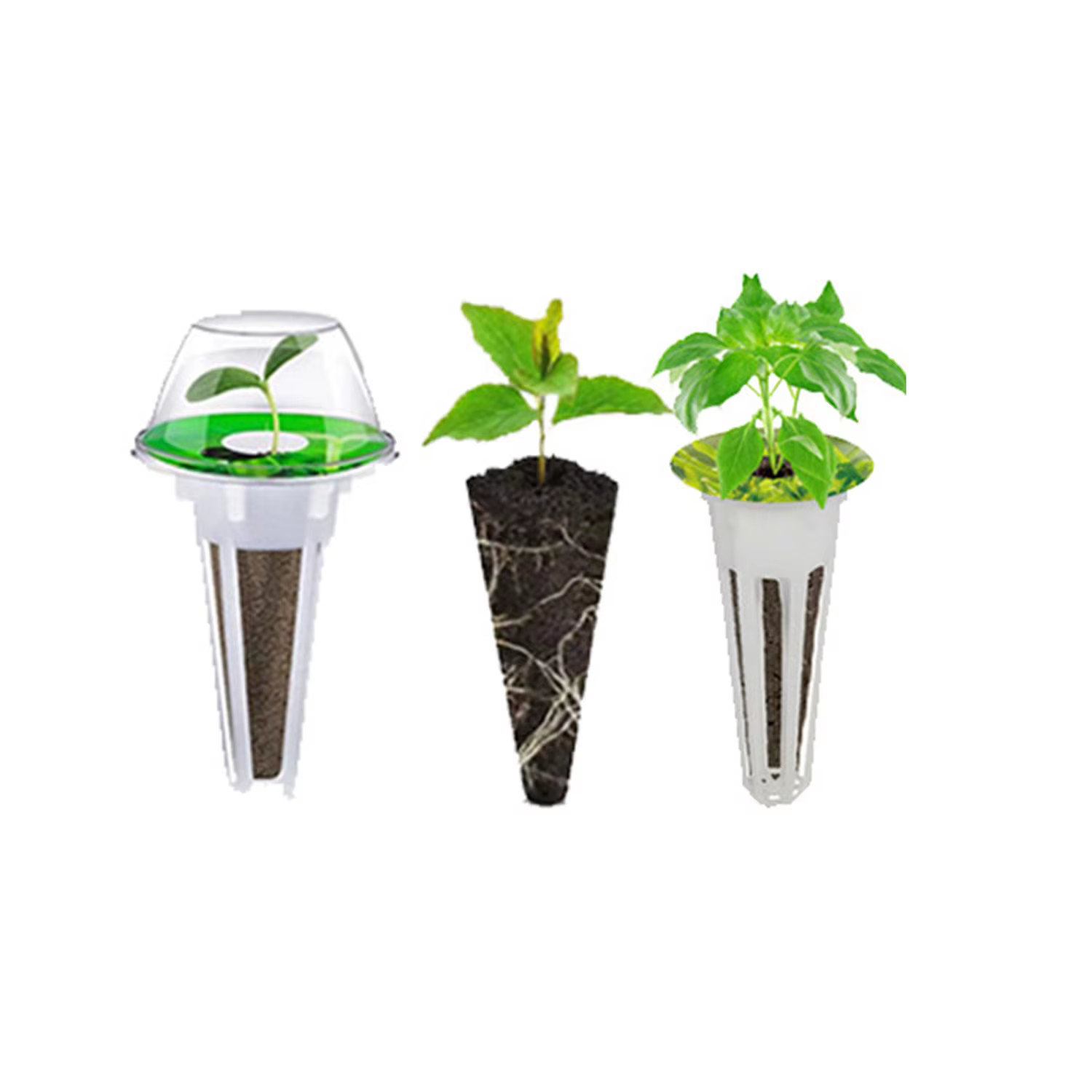 Cadres de plantation sans sol