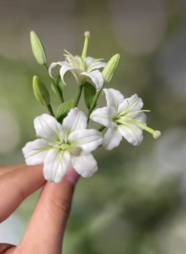 Plantes miniatures en argile faites à la main - Verres de lys