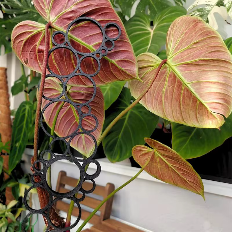1 pièce Treillis métallique pour plantes grimpantes