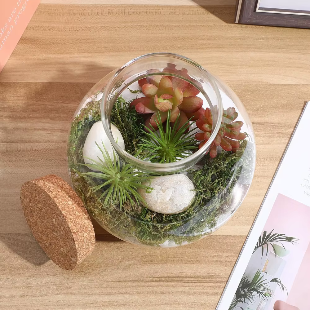 Terrarium en verre avec couvercle en liège