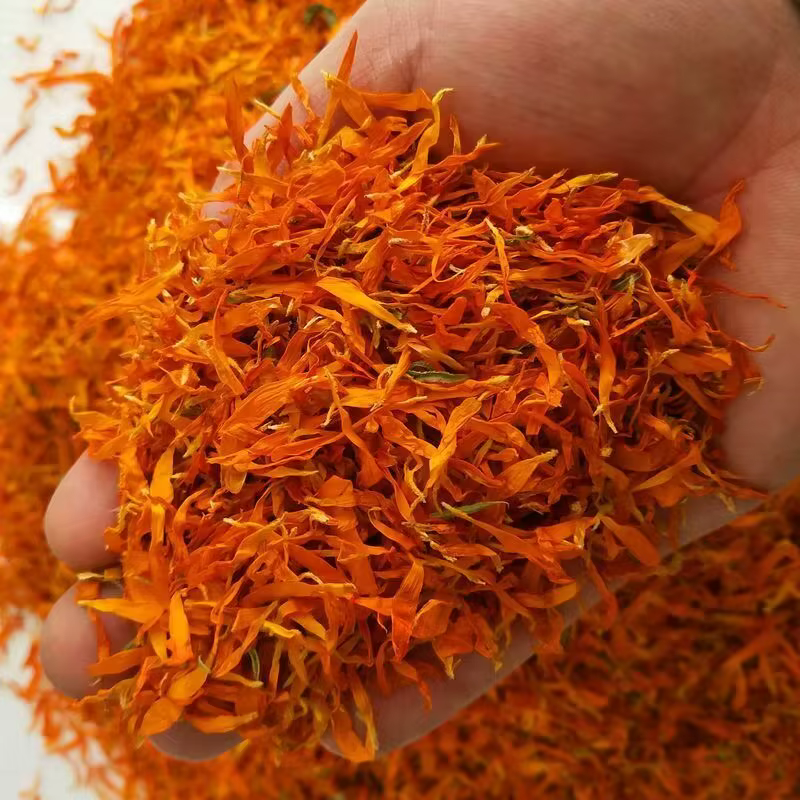 Pétalon de fleur de calendule séché de qualité 100%