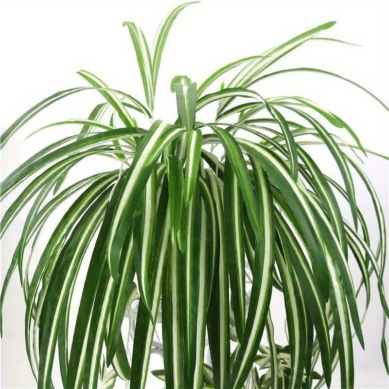 Plantes artificielles suspendues au mur