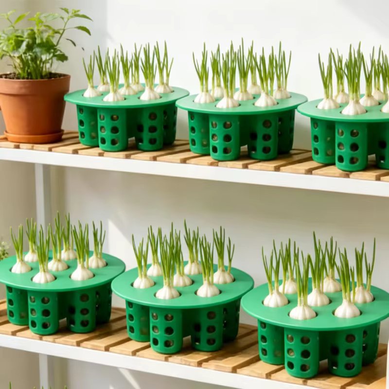 Jardinières hydroponiques pour légumes