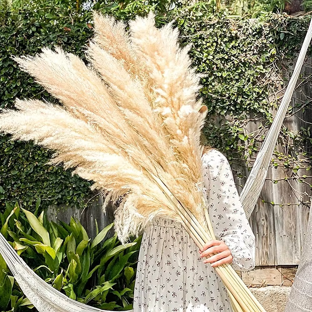 Grand Plume d'herbe de Pampa séchée de 110 à 120cm