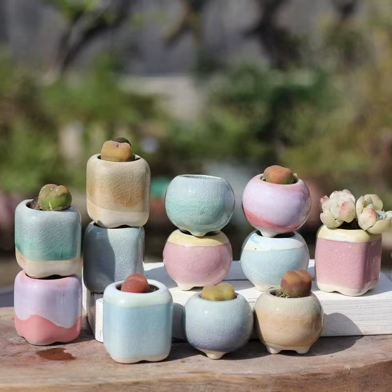 6 pièces Mini pot de fleurs succulentes petite plante succulente céramique Pots