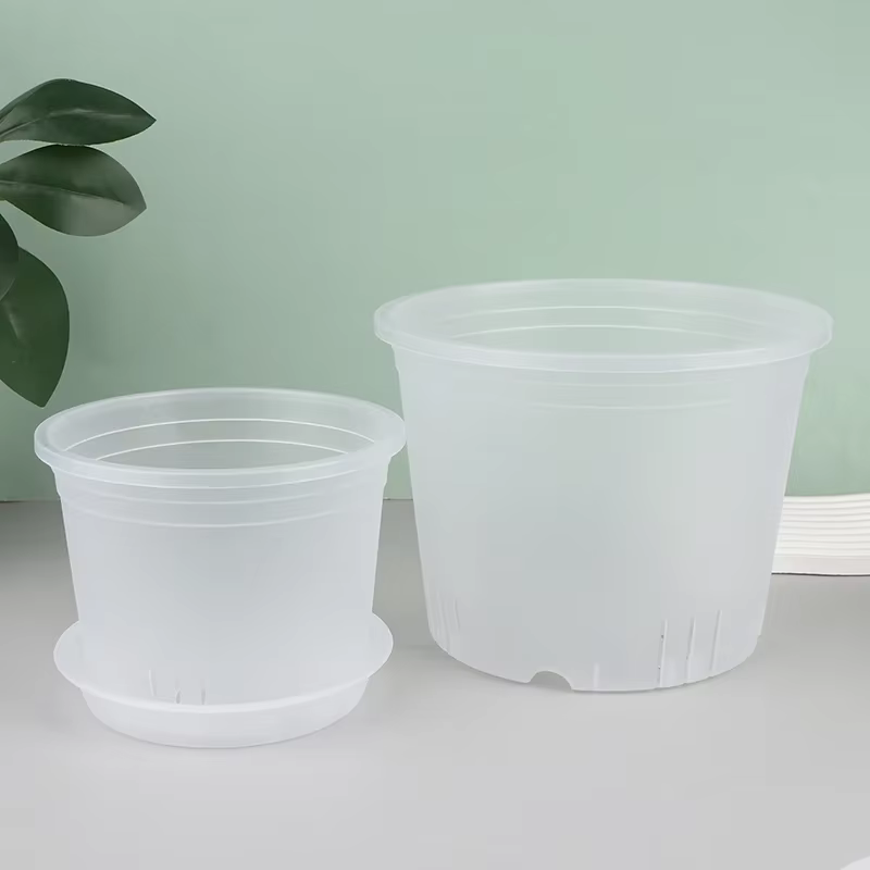 Pot d'orchidée rond Transparent avec/sans plateau