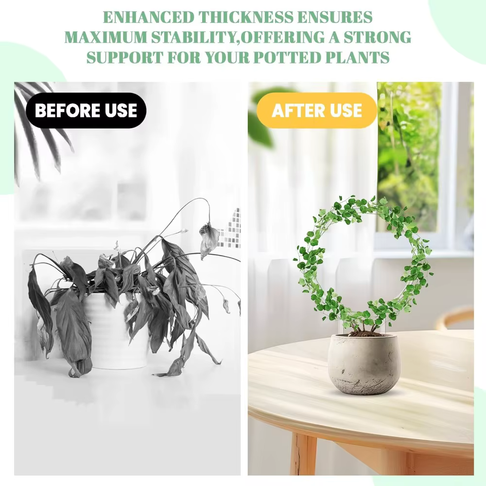1 pièces petite plante transparente treillis en plastique