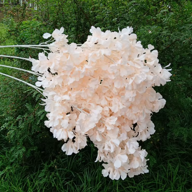 Étoile de ciel couverte de neige sans fleur
