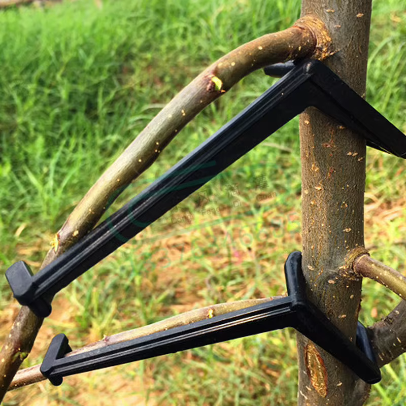 Extracteur de branches d'arbres fruitiers