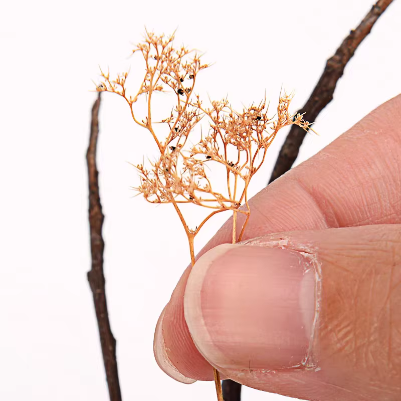 Diorama – arbres et buissons en mousse de mer