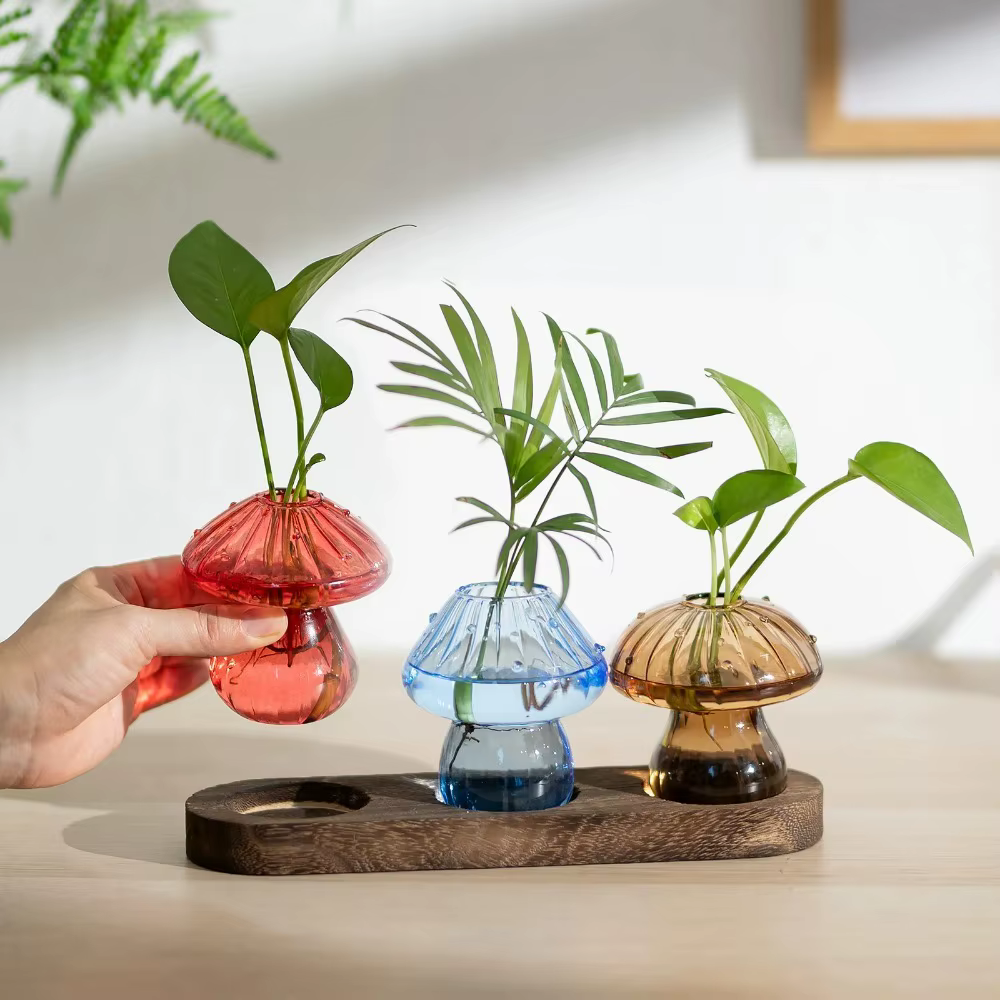 Vase de jardinière en verre de champignon avec Base en bois