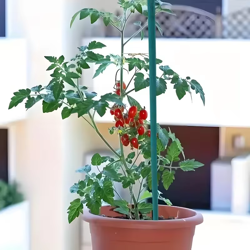 Tuteurs réutilisables pour plantes