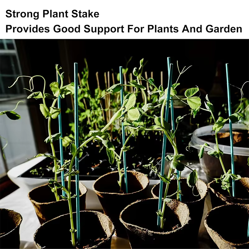Piquets de Support de plantes en bambou polyvalents