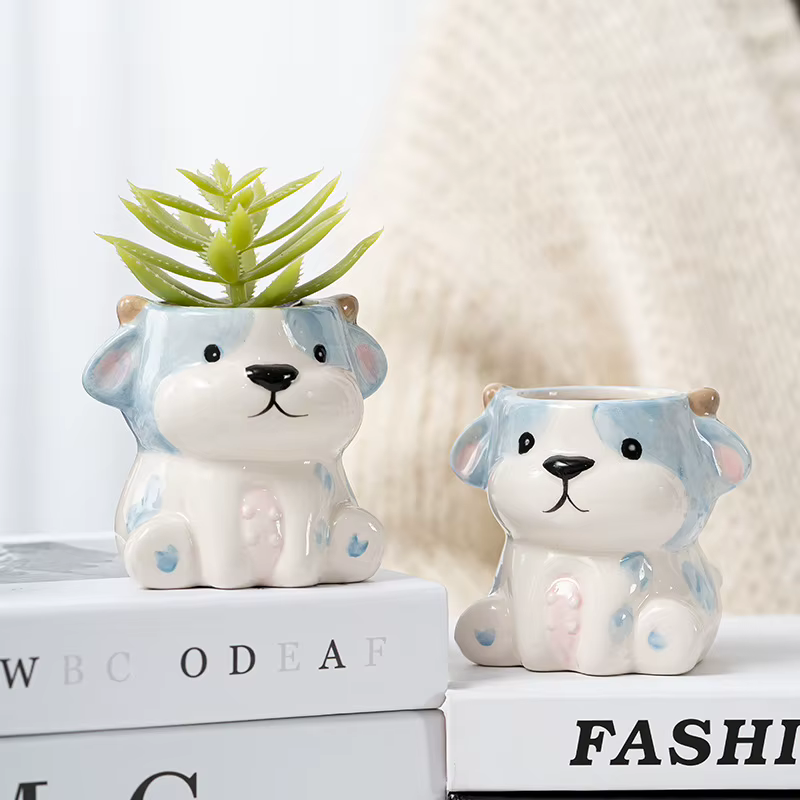 Pot de fleurs charnu mignon de dessin animé Amazon