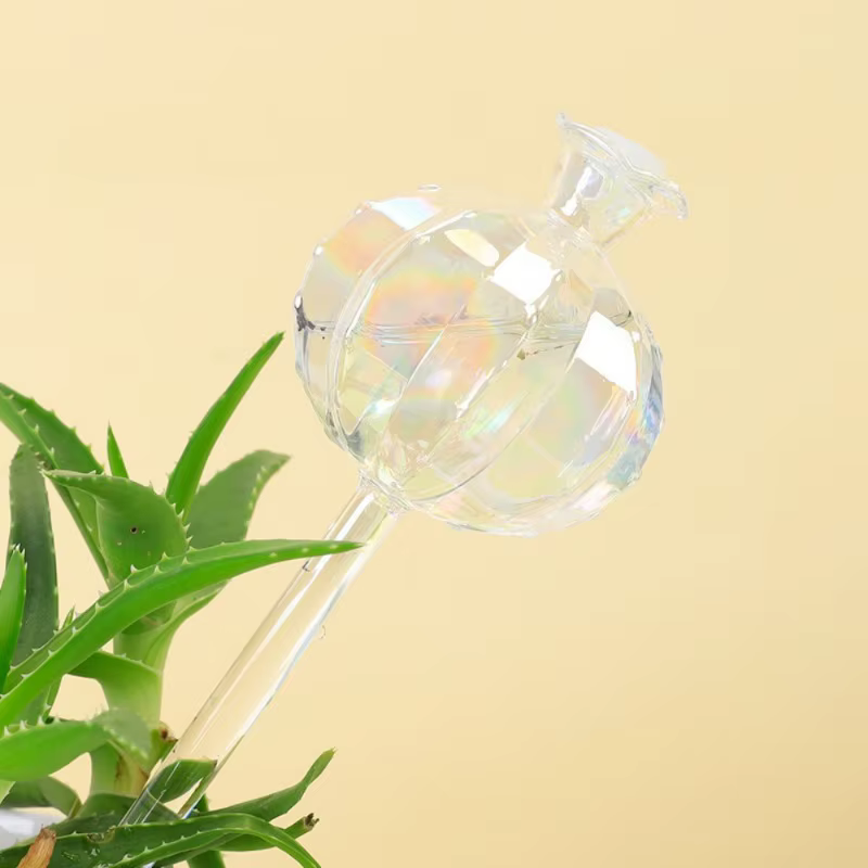 Globes d'Arrosage existent en Verre Durable