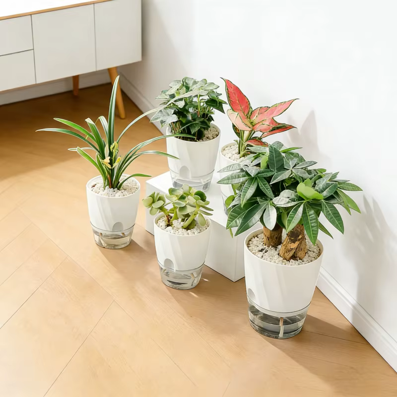 Pot de fleur de radis vert auto-arrosage en plastique Transparent épaissi à usage domestique
