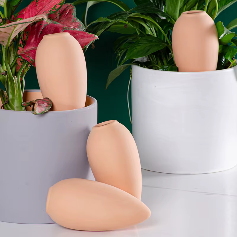 Globes d'arrosage en terre cuite - Insert pour pot auto-arrosant - Dispositifs