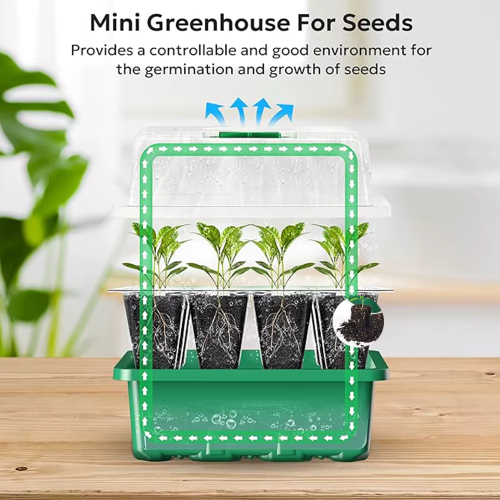 Kit de lancement de plantes de plateau