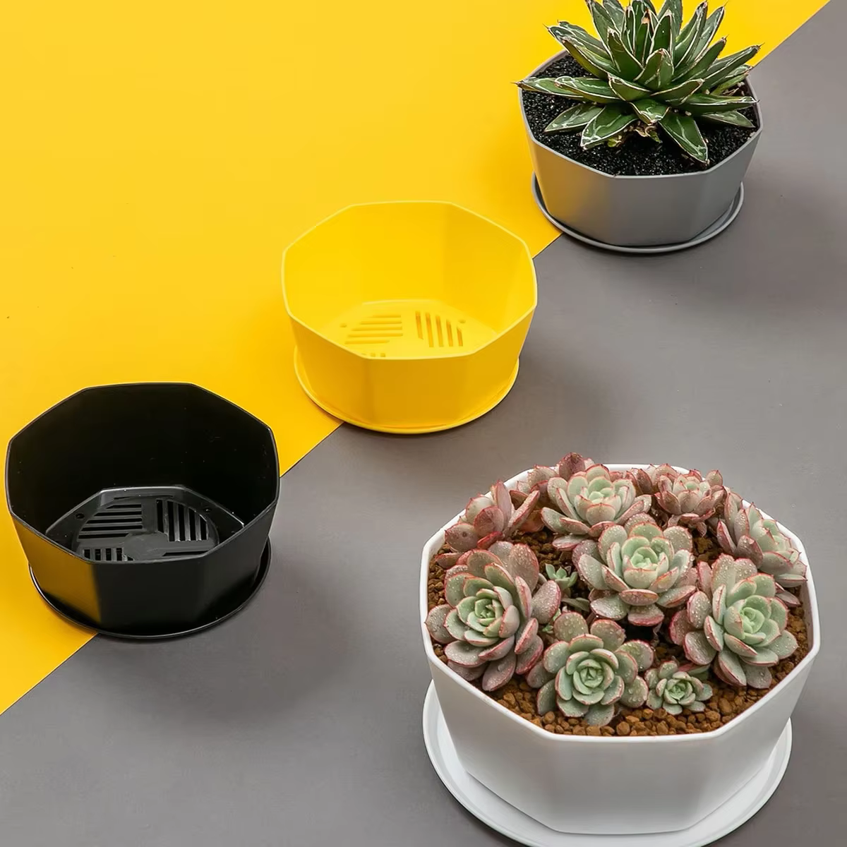 Pot de fleurs pour plantes succulentes
