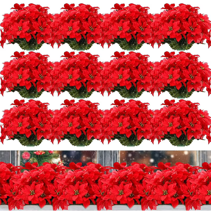 Bouquet de Fleurs Rouges pour Patients de Noël