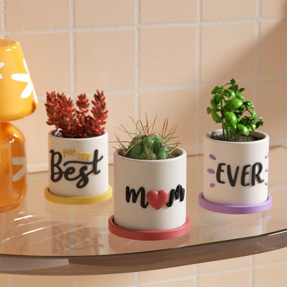 Nicole Pot et plateau pour plantes