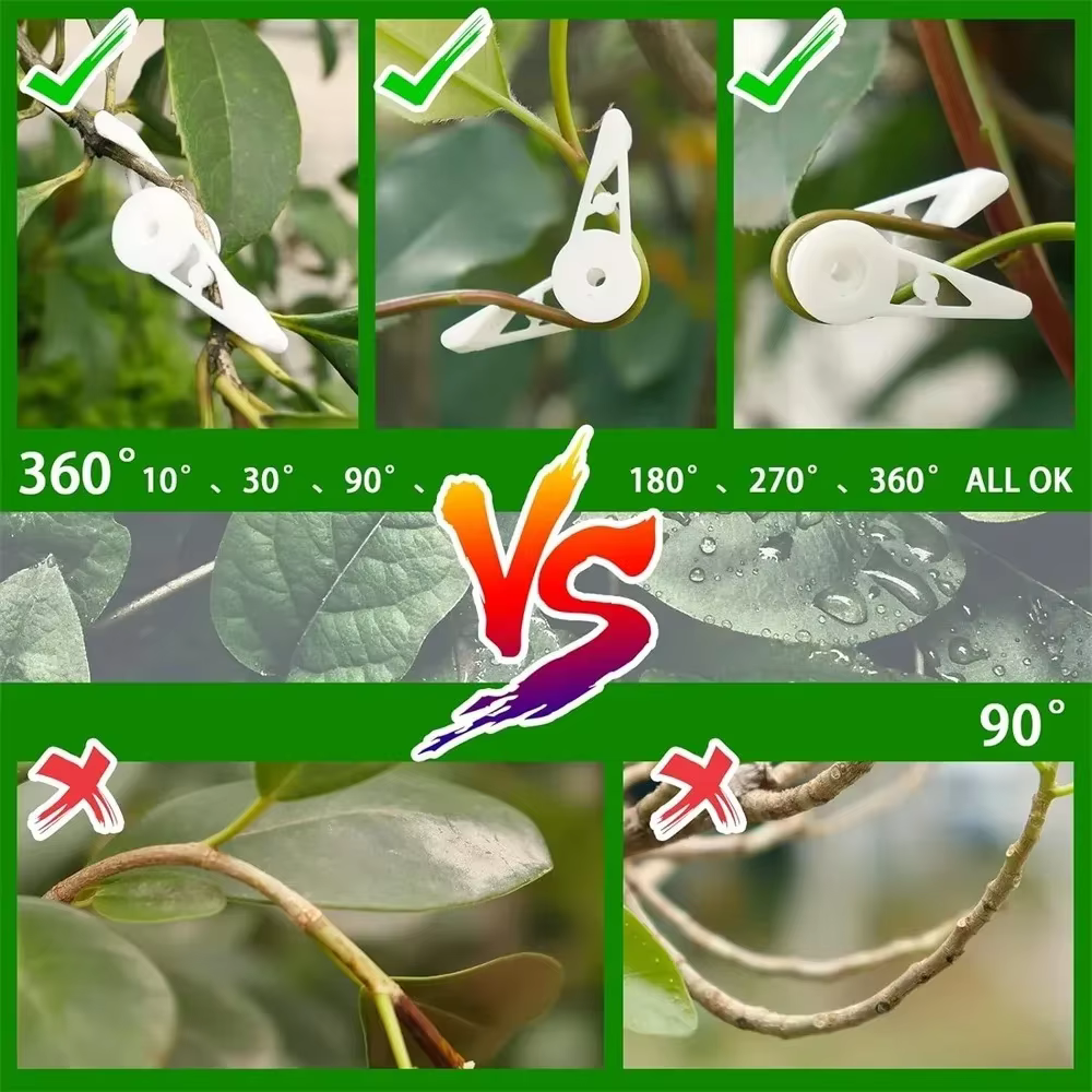 Clips d'entraînement pour cintreuse de Branches de plantes