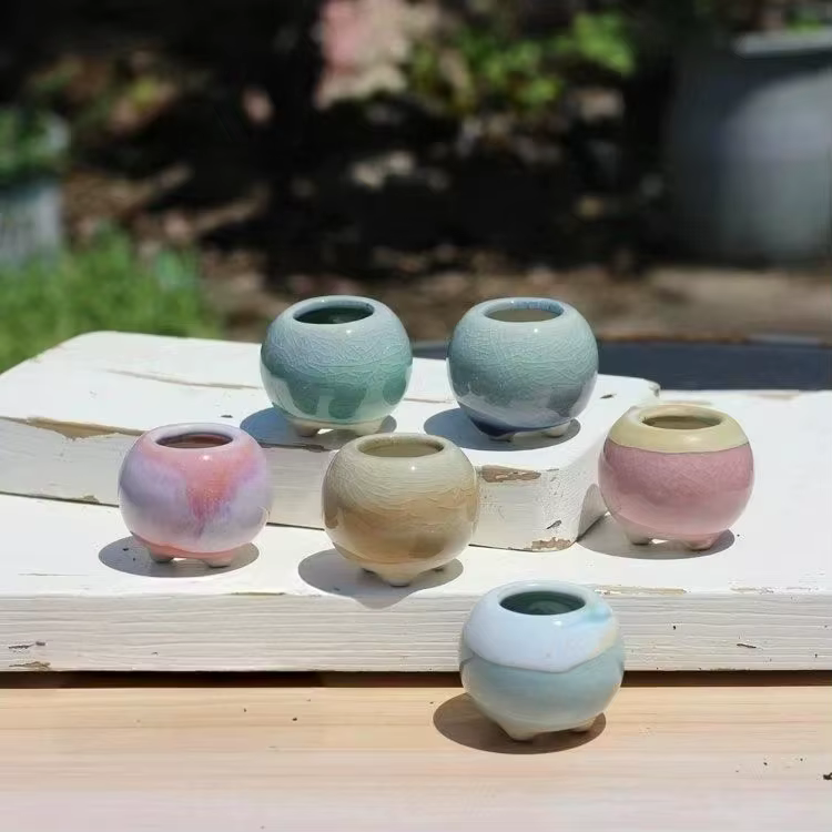 6 pièces Mini pot de fleurs succulentes petite plante succulente céramique Pots