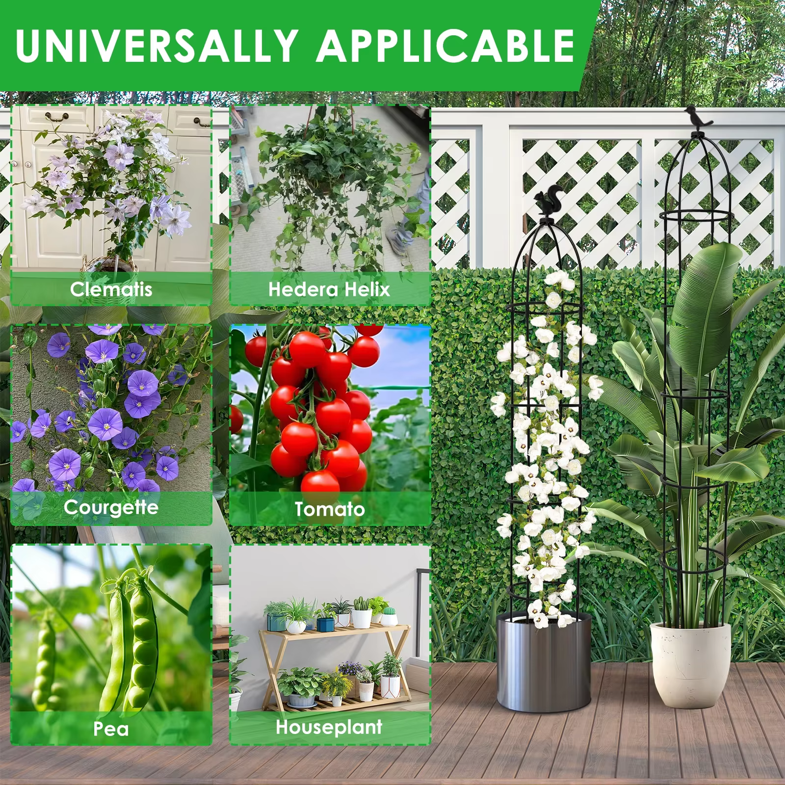 Lot de 2 obélisques de jardin pour plantes grimpantes