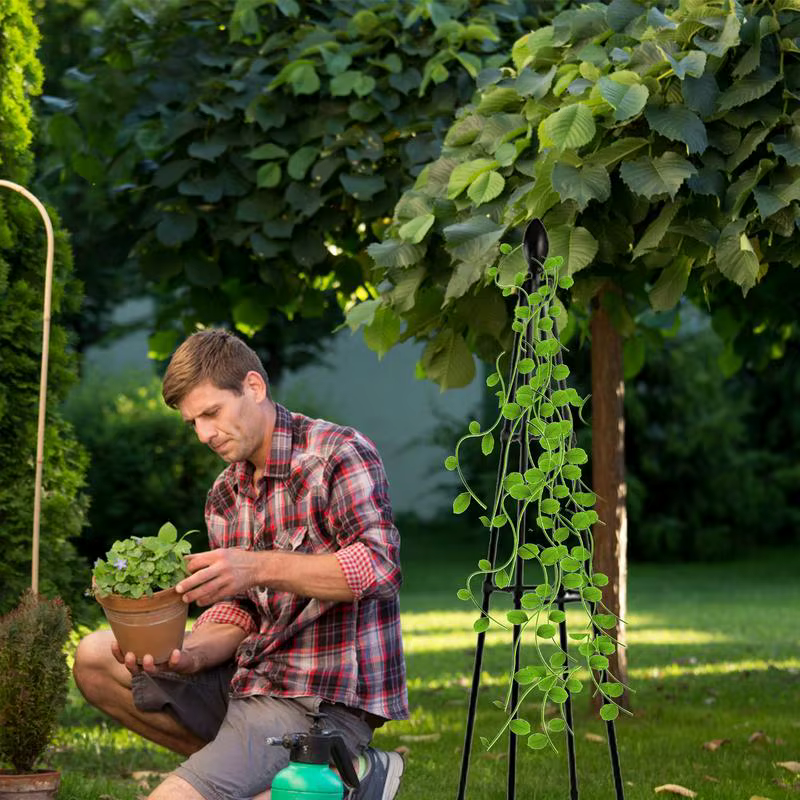Supports de fleurs de vigne grimpante de jardin