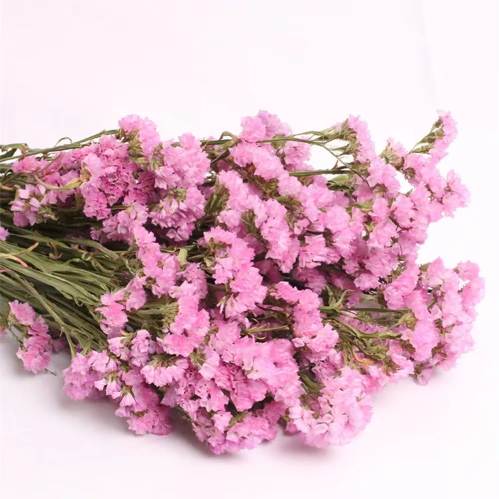Bouquet de fleurs immortel pour la décoration intérieure