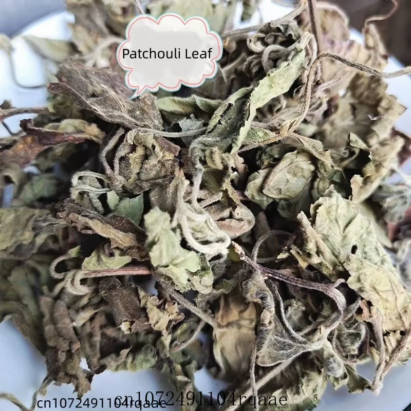 Feuilles d'Agastache Rugosa Séchées Naturelles Pures