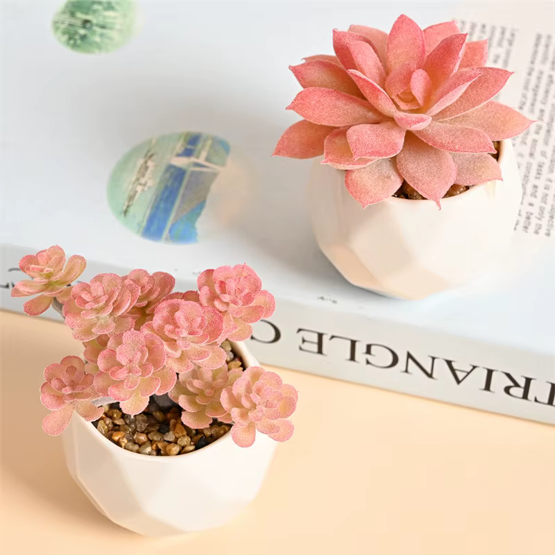 Ensemble de Mini plantes succulentes artificielles