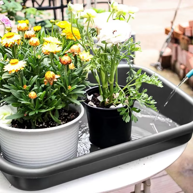 Nouveaux modèles 2026 : Plateau de jardinage pour plantes en pot